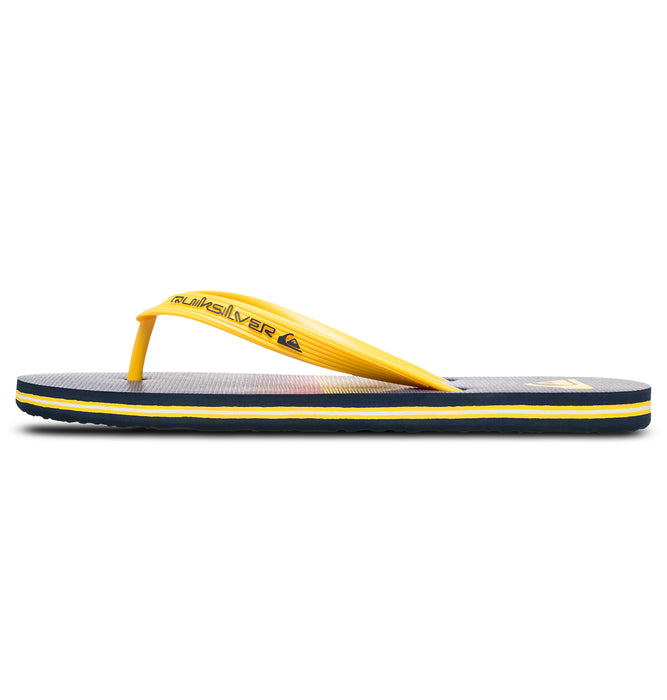 Quiksilver MOLOKAI STRIPE 25 メンズ サンダル