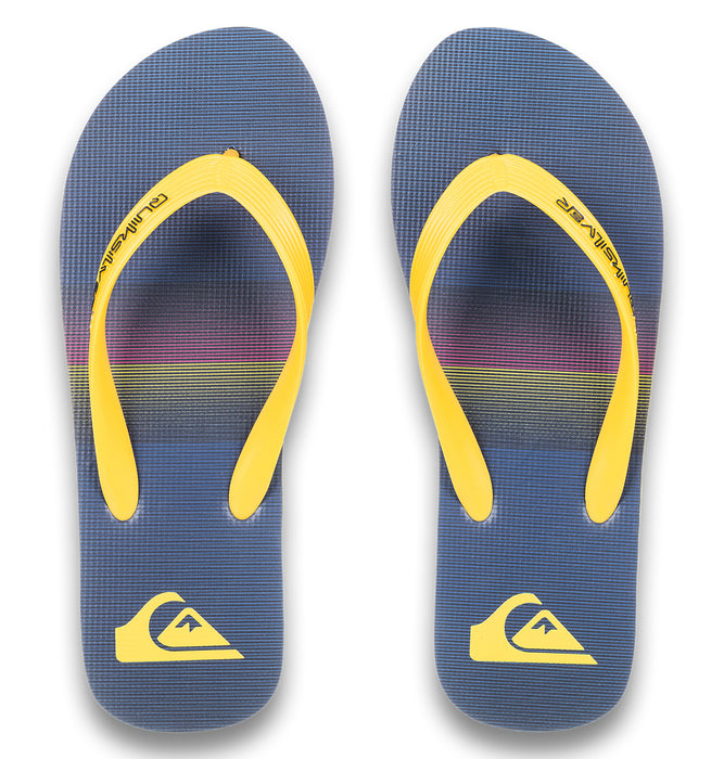 Quiksilver MOLOKAI STRIPE 25 メンズ サンダル