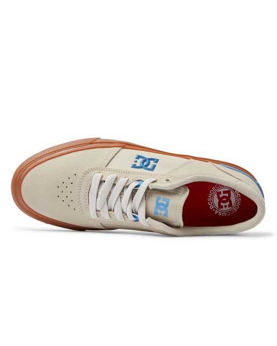 DC Shoes TEKNIC S