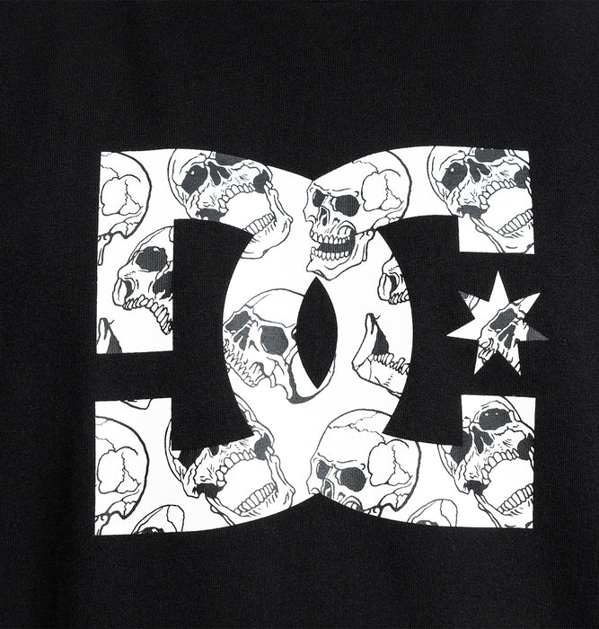 【OUTLET】DC Shoes DC STAR SKULLY LHSS メンズ Tシャツ