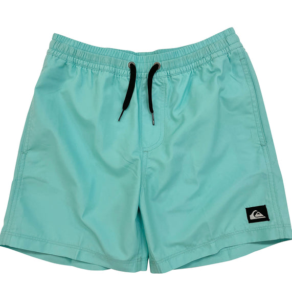 Quiksilver EVERYDAY SOLID VL YTH 14 キッズ ボードショーツ