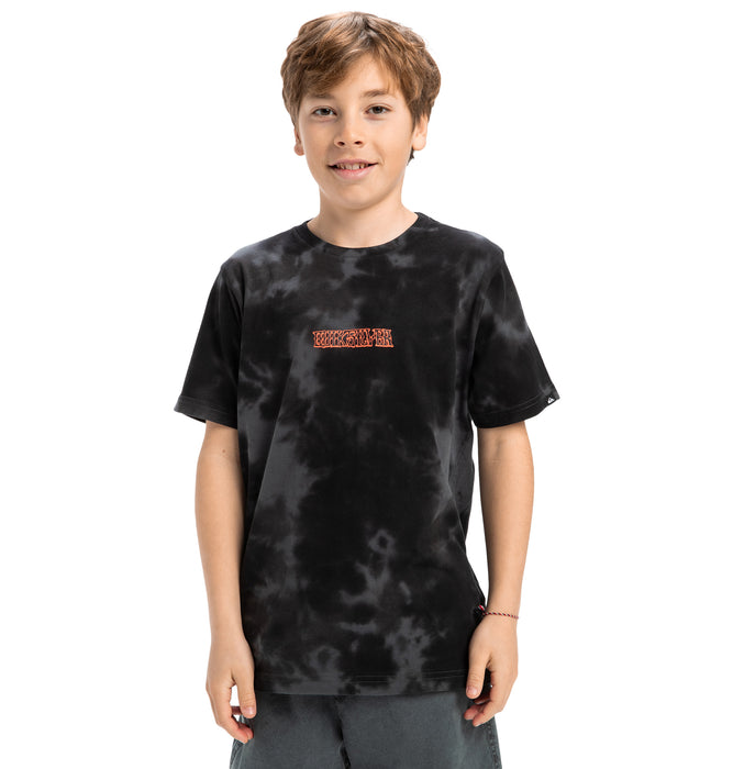 【OUTLET】【オンラインストア限定】Quiksilver FROG RITUAL SS TEE YOUTH キッズ トップス