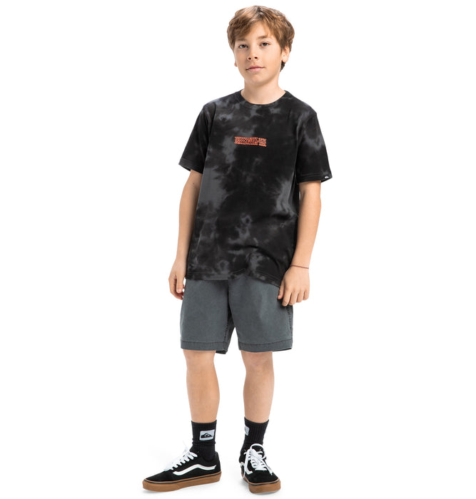 【OUTLET】【オンラインストア限定】Quiksilver FROG RITUAL SS TEE YOUTH キッズ トップス