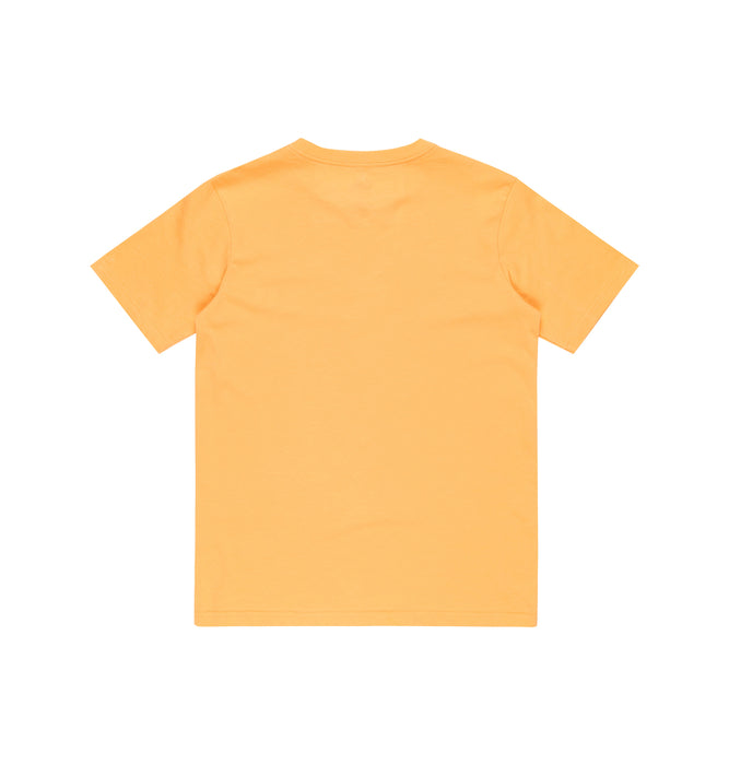 【OUTLET】QUIKSILVER キッズ・ユース EV COMP LOGO SS YTH 半袖コットンTシャツ ロゴT (130-160cm)