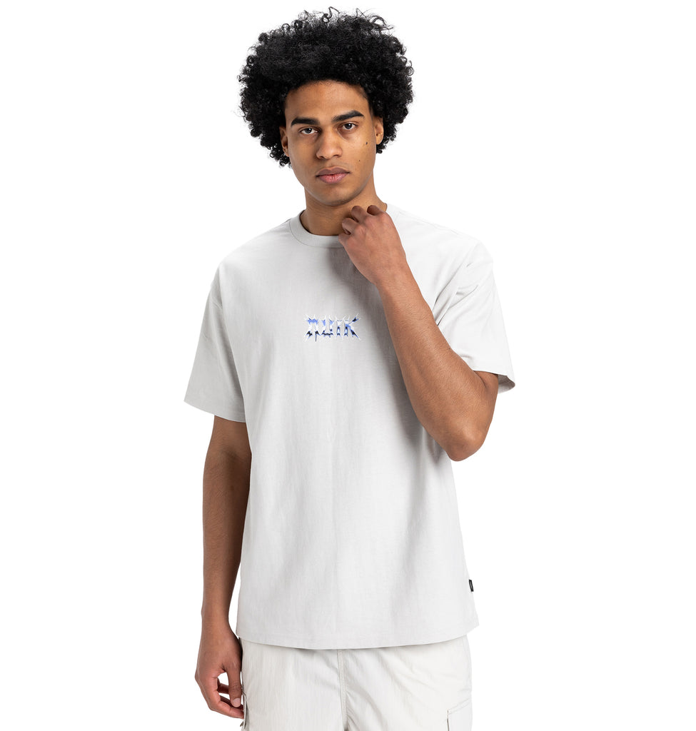 QUIKSILVER Tシャツ Quiksilver tシャツ DOUBLE LOGO ST/クイックシルバーダンボール