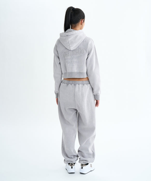 DC Shoes 25 WS HIDDEN SHORT ZH フーディ パーカー 裏起毛