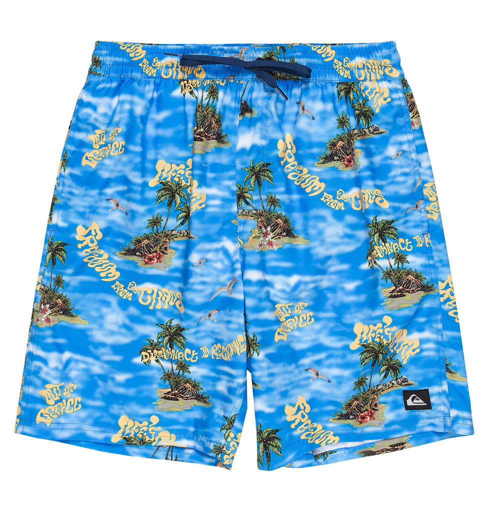 OUTLET】Quiksilver EVERYDAY STRAIGHT VL 19 メンズ ボードショーツ