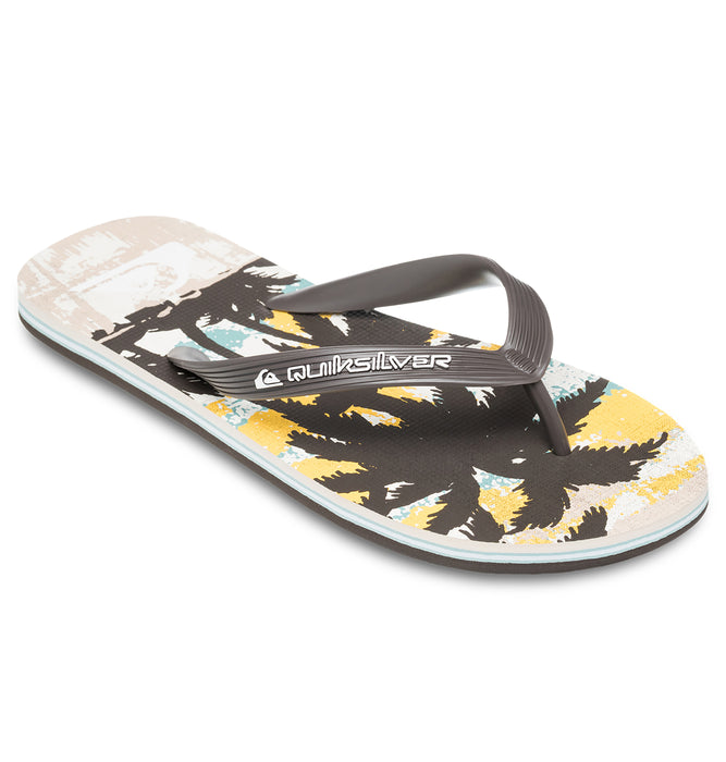 【OUTLET】QUIKSILVER メンズ MOLOKAI ART 25 ビーチサンダル