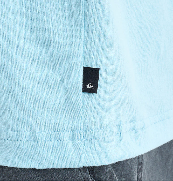 【OUTLET】QUIKSILVER メンズ FREEDOM SWELL ST 半袖コットンTシャツ レギュラーフィット グラフィックデザイン
