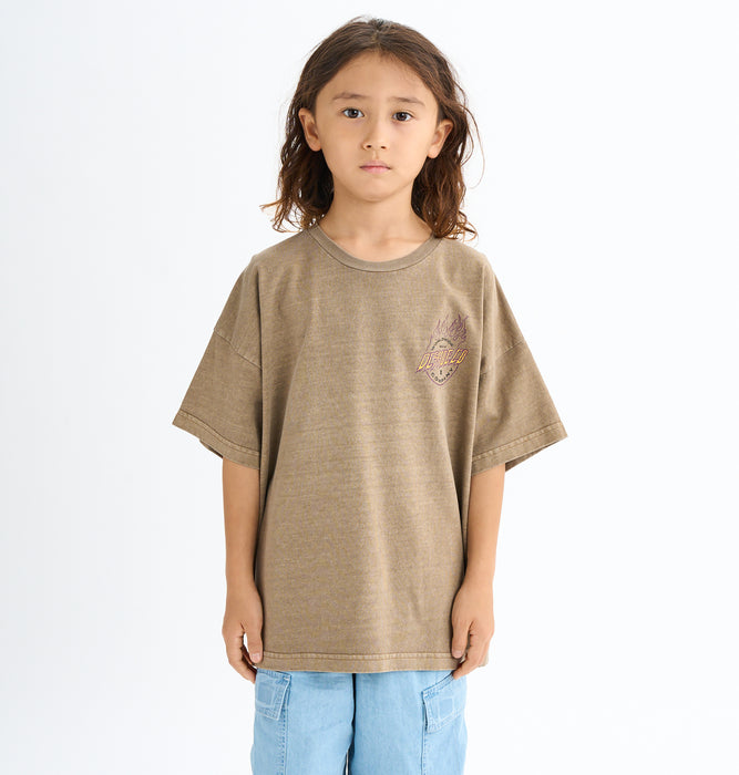 【OUTLET】DC Shoes 25 KD FIERY SS