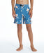 QUIKSILVER キッズ BOTANICAL VOLLEY YOUTH 16NB ボードショーツ 【2026年夏モデル】 BLU / 160