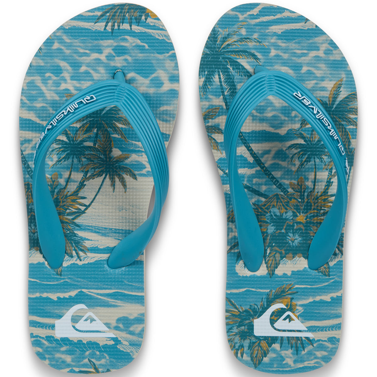 QUIKSILVER ユース MOLOKAI ART 26 YOUTH ビーチサンダル 【2026年春夏