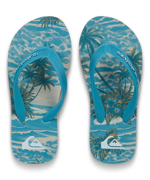 QUIKSILVER キッズ MOLOKAI ART 26 YOUTH ビーチサンダル 【2026年春夏モデル】 BKJ6 / 22CM