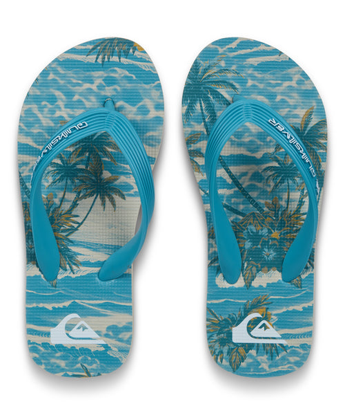 QUIKSILVER ユース MOLOKAI ART 26 YOUTH ビーチサンダル 【2026年春夏