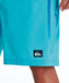 QUIKSILVER メンズ HOLMES VOLLEY 20NB ボードショーツ 【2026年夏モデル】 AQA / XL