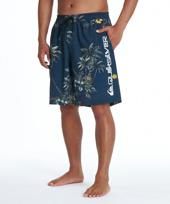 QUIKSILVER メンズ SUNDOWN VOLLEY 20NB ボードショーツ 【2026年夏モデル】 BLK / XL