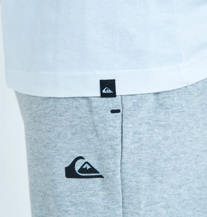 【OUTLET】Quiksilver 24FW QS LS T-01