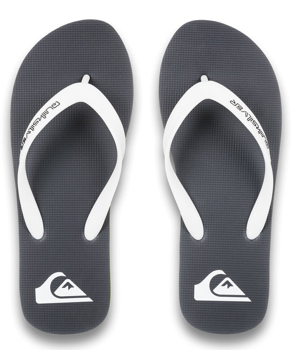 QUIKSILVER メンズ MOLOKAI CORE ロゴビーチサンダル