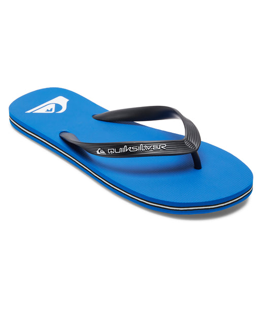 QUIKSILVER メンズ MOLOKAI CORE ビーチサンダル 【2026年春夏モデル】 BYJ1 / 28CM