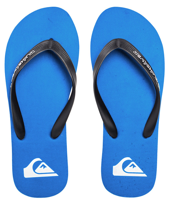 QUIKSILVER メンズ MOLOKAI CORE ビーチサンダル 【2026年春夏モデル】 BYJ1 / 28CM