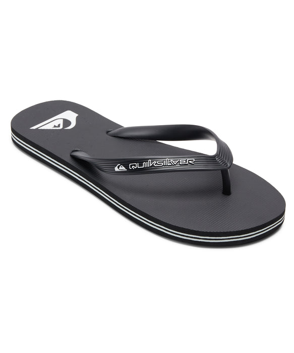 QUIKSILVER メンズ MOLOKAI CORE ロゴビーチサンダル