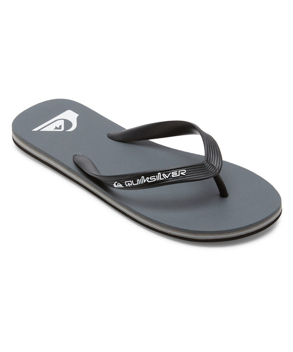 QUIKSILVER メンズ MOLOKAI CORE ロゴビーチサンダル