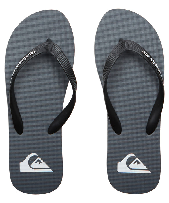 QUIKSILVER メンズ MOLOKAI CORE ロゴビーチサンダル