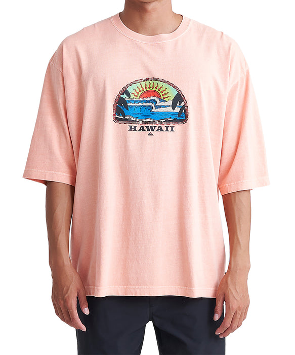 【OUTLET】Quiksilver BLAZING SUN ST メンズ