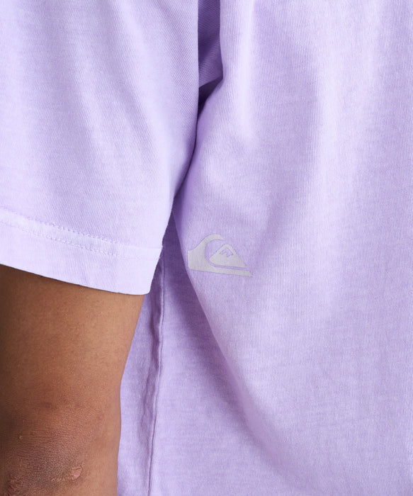 QUIKSILVER メンズ PG STRUCTURED FLOWER Tシャツ 【2026年春夏モデル】 PUR / XL