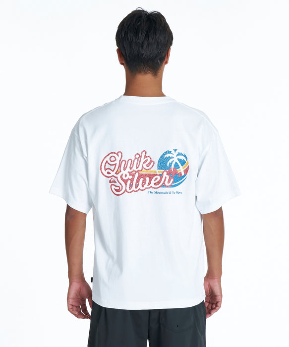 QUIKSILVER メンズ IVG SURF ST Tシャツ 【2026年夏モデル】 WHT / XL