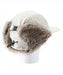 ROXY ウィメンズ ROXY SNOWY HAT パイロットハット フリースライナー付き 保湿【25-26SNOWモデル】 WCF0 / F