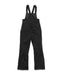 VOLCOM ウィメンズ ASH STRETCH GORE BIB スノーパンツ 【26-27SNOWモデル】 BLK / L