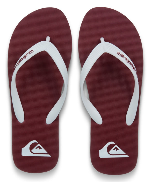 QUIKSILVER メンズ MOLOKAI CORE ビーチサンダル 【2026年春夏モデル】