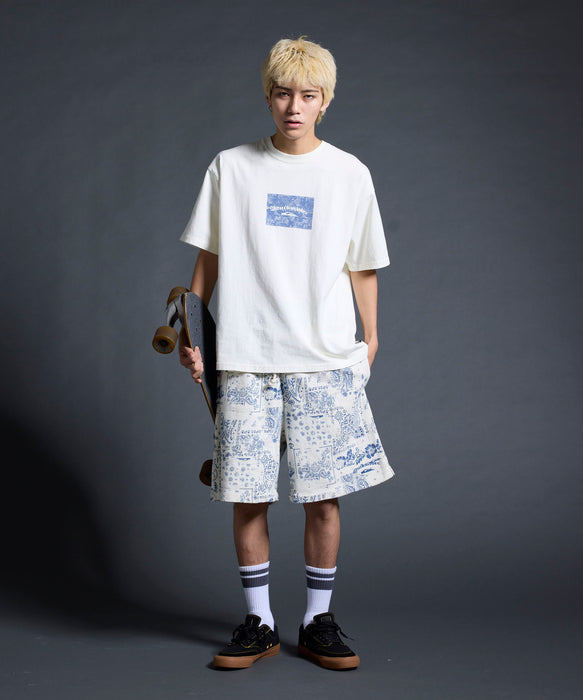 QUIKSILVER メンズ/ユニセックス MERCURY PAISLEY BOX ST 半袖Tシャツ ペイズリー柄<MERCURY COLLECTION>【2026年夏モデル】