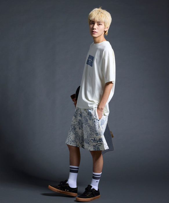 QUIKSILVER メンズ/ユニセックス MERCURY PAISLEY BOX ST 半袖Tシャツ ペイズリー柄<MERCURY COLLECTION>【2026年夏モデル】