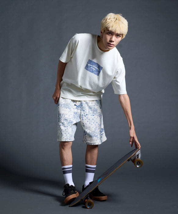 QUIKSILVER メンズ/ユニセックス MERCURY PAISLEY BOX ST 半袖Tシャツ