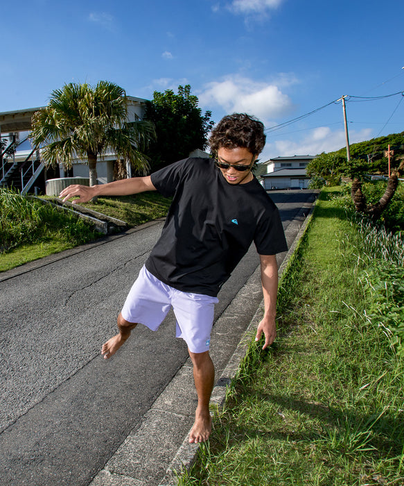 QUIKSILVER メンズ EVERYDAY SOLID VOLLEY 19 ジャムボードショーツ 19インチ インナーショーツ付き (ウエストゴムタイプ) ノンストレッチ・撥水加工 【2026年春夏モデル】