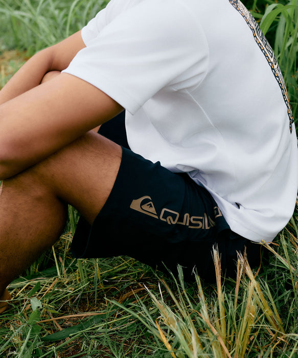QUIKSILVER メンズ HERITAGE ST Tシャツ 接触冷感 速乾 UPF50+ ストレッチ<NATURE TECH>【2026年夏モデル】