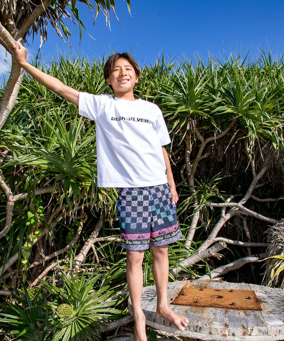 Hawaiian 名盤14枚セット QUIKSILVER キッズ・ユース EVERYDAY PRINTED VOLLEY YTH 14 ジャム