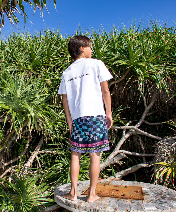 QUIKSILVER キッズ・ユース EVERYDAY PRINTED VOLLEY YTH 14 ジャムボードショーツ 14インチ インナーショーツ付き (ウエストゴムタイプ) ノンストレッチ・撥水加工 【2026年春夏モデル】
