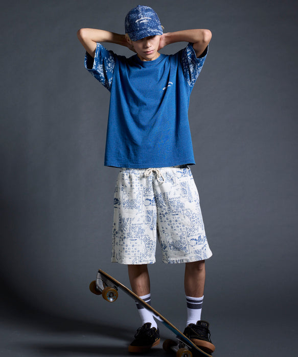 QUIKSILVER メンズ/ユニセックス MERCURY PAISLEY SLEEVE ST 半袖Tシャツ ペイズリー柄 ルーズフィット<MERCURY COLLECTION>【2026年夏モデル】