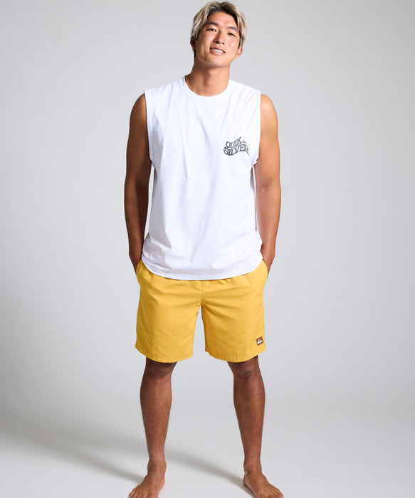 QUIKSILVER メンズ EVERYDAY SOLID VOLLEY 19 ジャムボードショーツ 19インチ インナーショーツ付き (ウエストゴムタイプ) ノンストレッチ・撥水加工 【2026年春夏モデル】