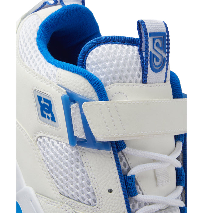 DC Shoes JS 1