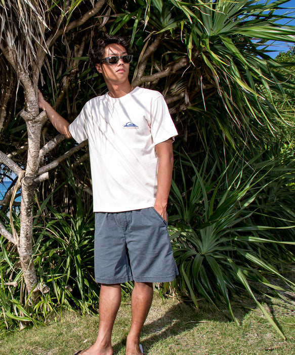 QUIKSILVER メンズ PG ARTY SURF SCENE ST Tシャツ 【2026年春夏モデル】