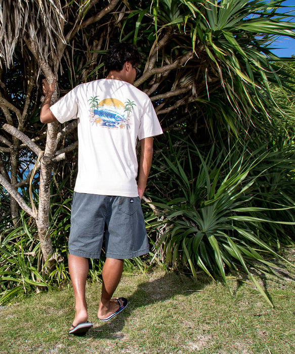 QUIKSILVER メンズ PG ARTY SURF SCENE ST Tシャツ 【2026年春夏モデル】