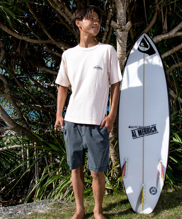 QUIKSILVER キッズ・ユース PG ARTY SURF SCENE ST YOUTH Tシャツ 【2026年春夏モデル】