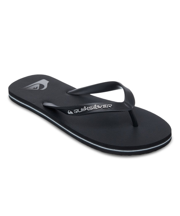 QUIKSILVER メンズ MOLOKAI CORE ビーチサンダル 【2026年春夏モデル】