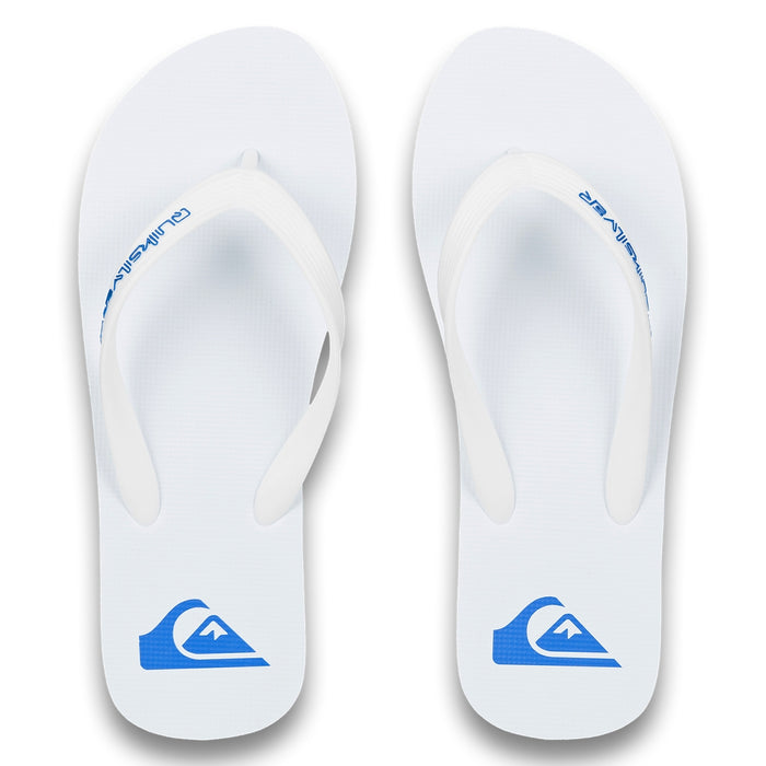 QUIKSILVER メンズ MOLOKAI CORE ロゴビーチサンダル