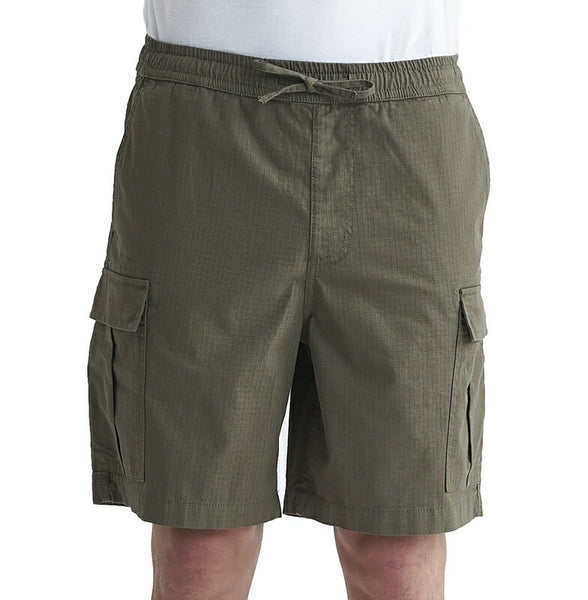 OUTLET】QUIKSILVER メンズ TAXER CARGO ウォークショーツ 19インチ