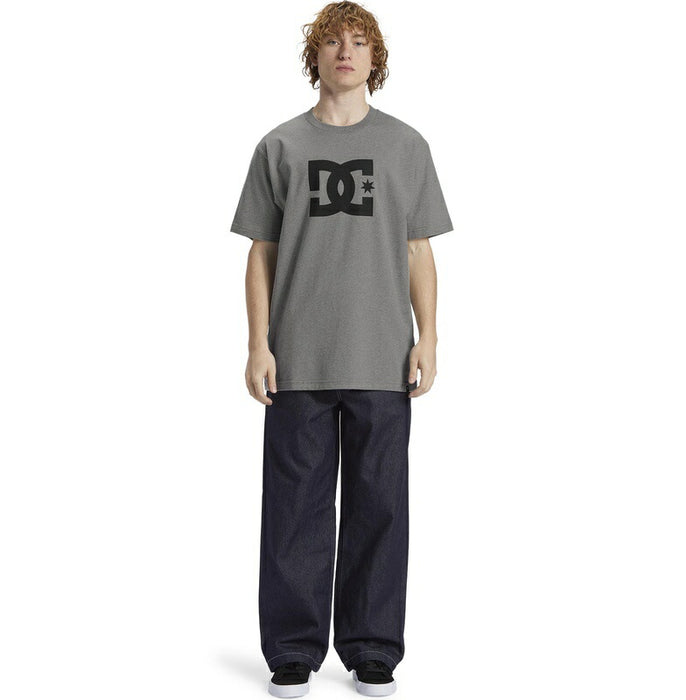 DC Shoes DC STAR HSS Tシャツ メンズ